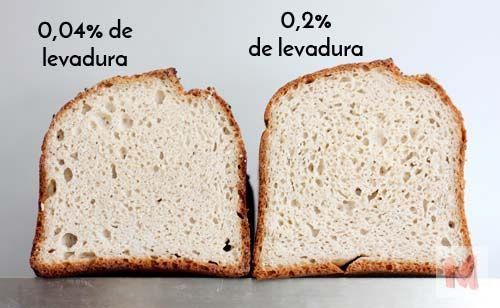 perfil miga dos panes levadura