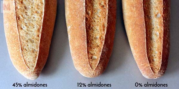 almidones y fermentación greña