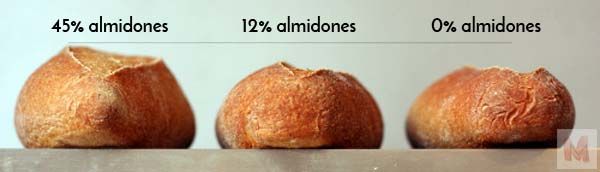 almidones y fermentación perfil