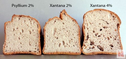 humedad de la miga psyllium xantana