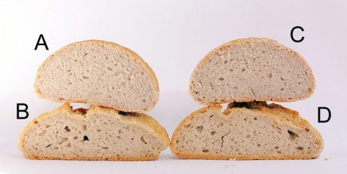 masas enriquecidas sin gluten masas enriquecidas sin gluten