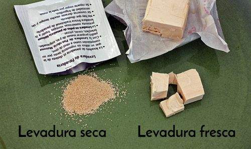 levadura seca levadura fresca pan sin gluten