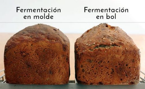 ¿Debe fermentar la masa en su forma final? panes sin gluten perfil