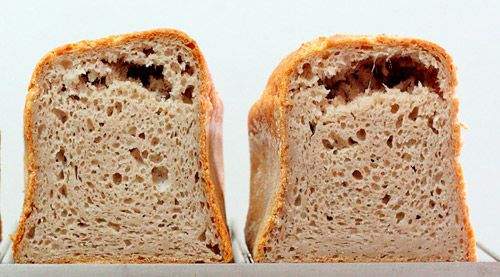 sobrefermentación pan sin gluten