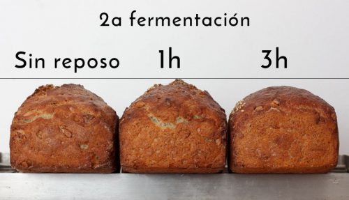 la segunda fermentación