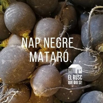 logo nap negre
