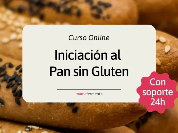 Curso Online de Iniciación al Pan sin Gluten.