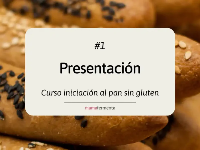 Curso de iniciación al pan sin gluten 1. Presentación.