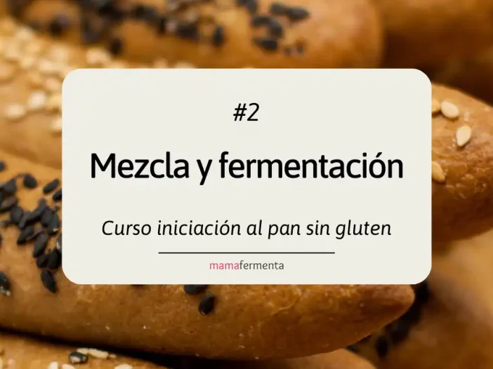 Curso de iniciación al pan sin gluten 2. Mezcla y fermentación.