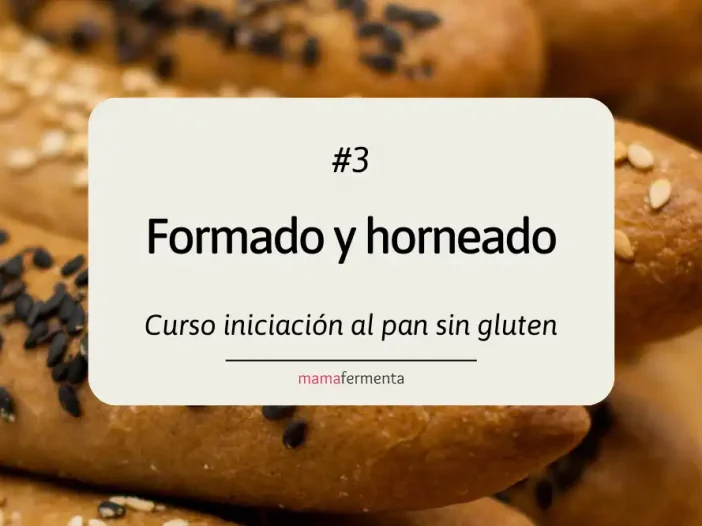 Curso de iniciación al pan sin gluten 3. Formado y horneado.