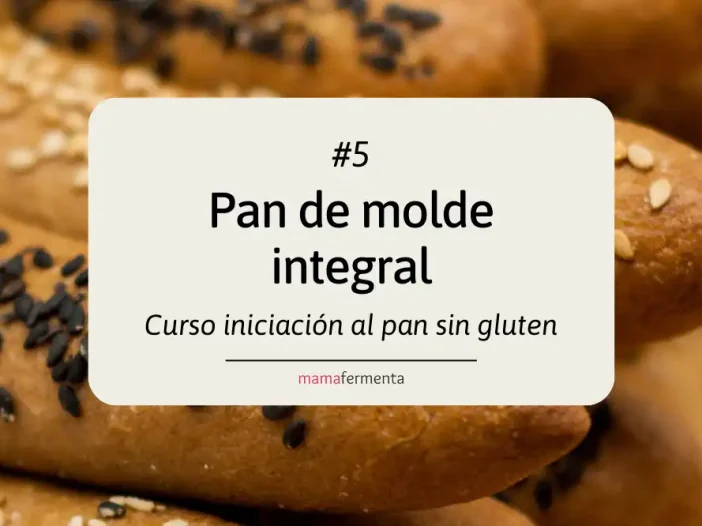 Curso de iniciación al pan sin gluten 5. Pan de molde integral.