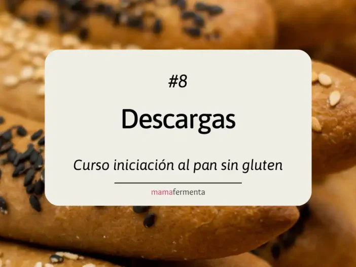 Curso de iniciación al pan sin gluten 8 Descargas.