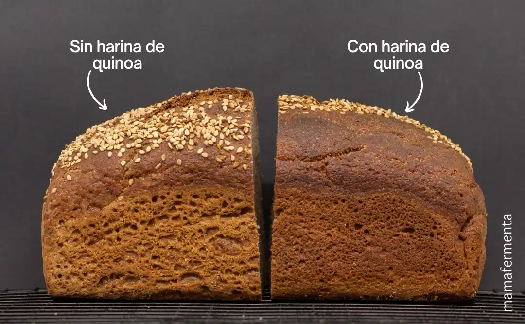 Pan con harina de quinoa y sin ella corteza