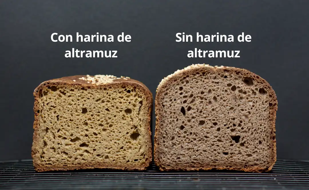 Pan sin gluten hecho con harina de altramuz y sin ella