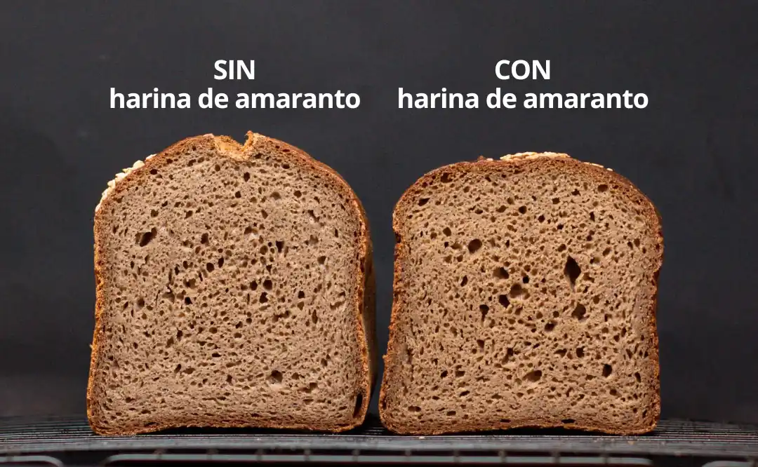 Pan sin gluten elaborado con harina de amaranto