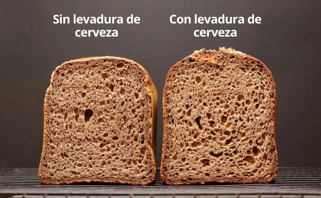 Pan sin gluten con levadura de cerveza